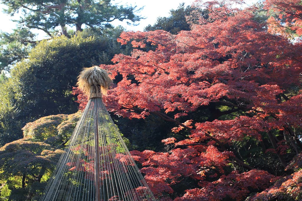 殿ヶ谷戸庭園