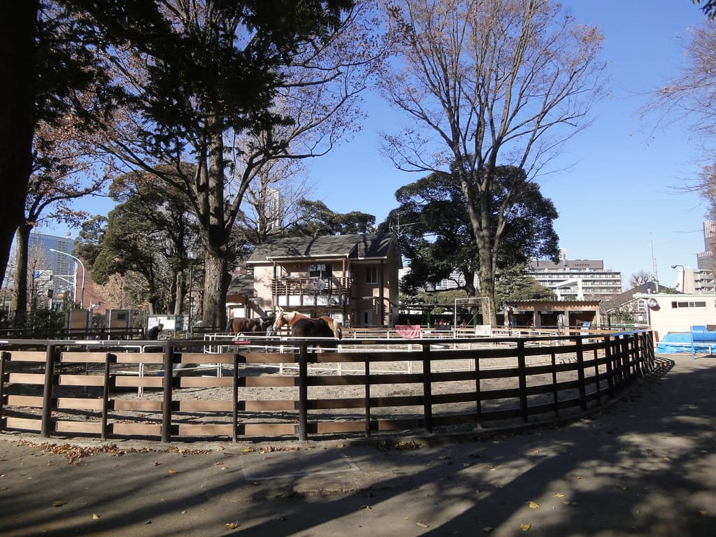 渋谷区立代々木ポニー公園