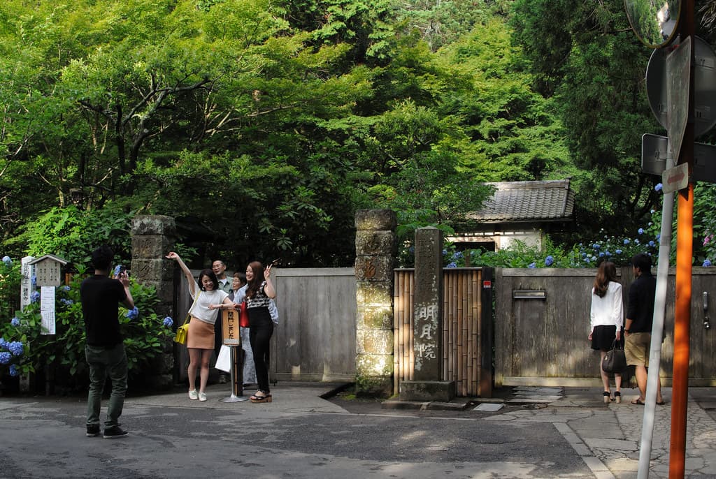 明月院（あじさい寺）