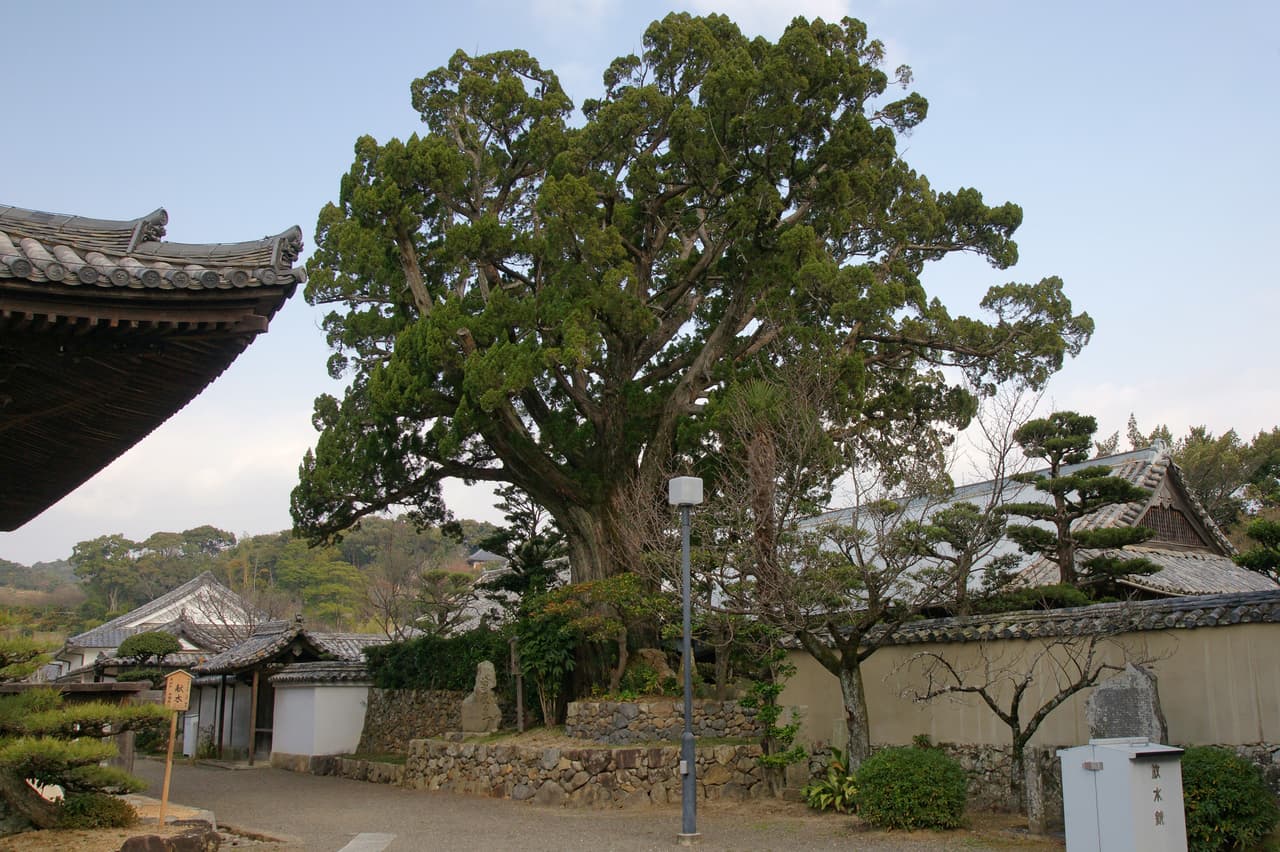 道成寺