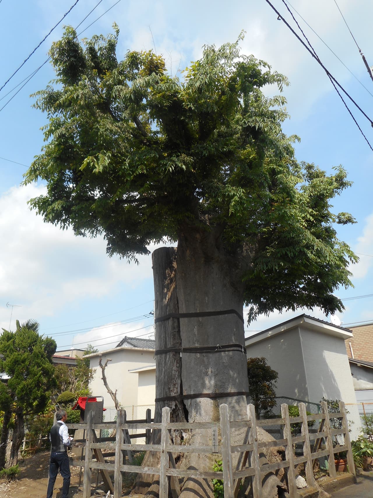 諏訪神社
