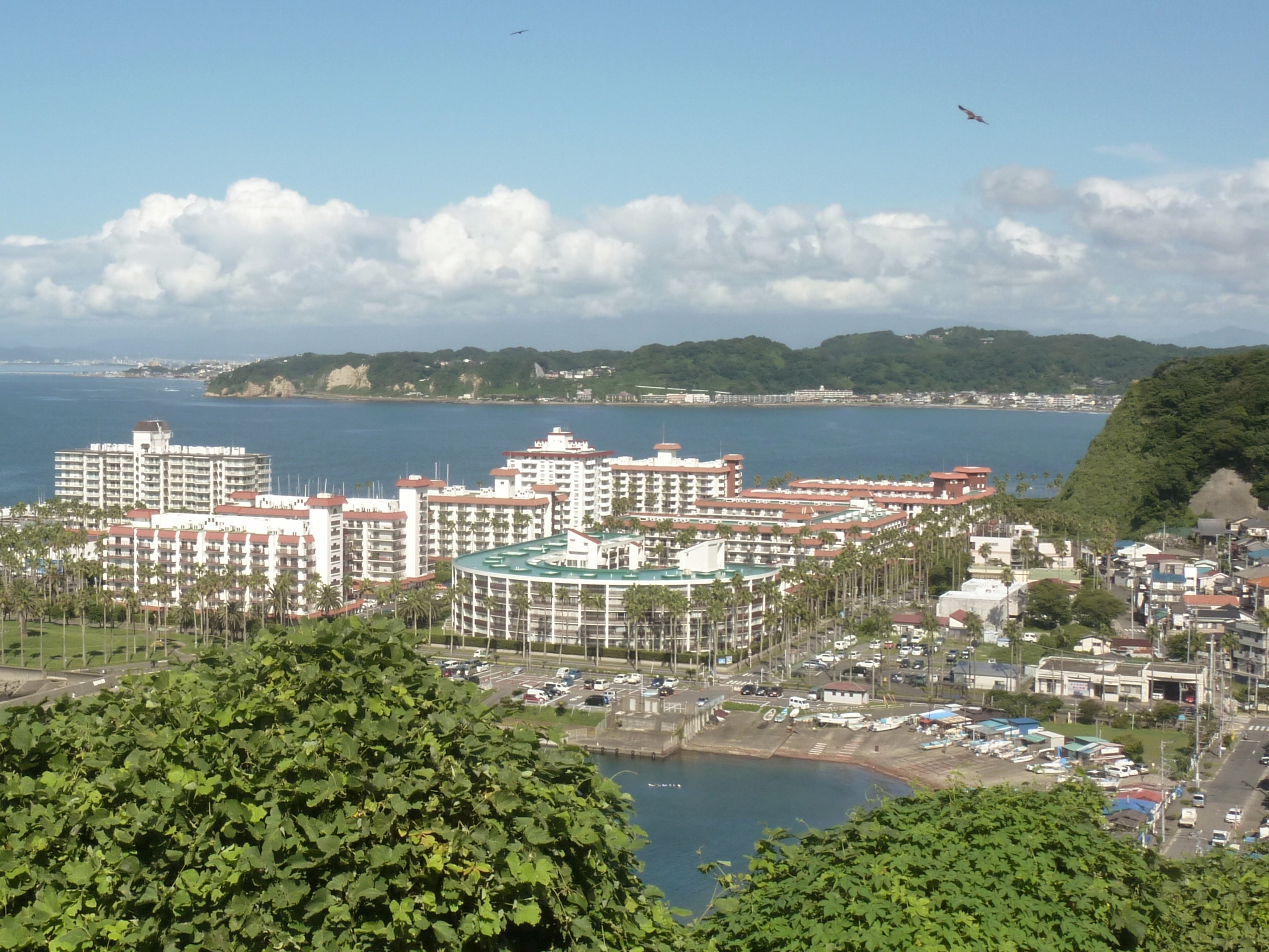 大崎公園