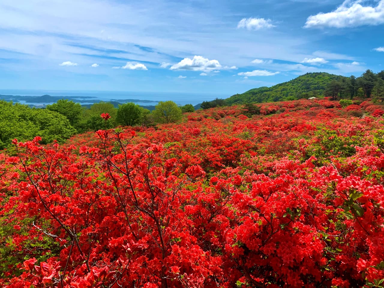 徳仙丈山