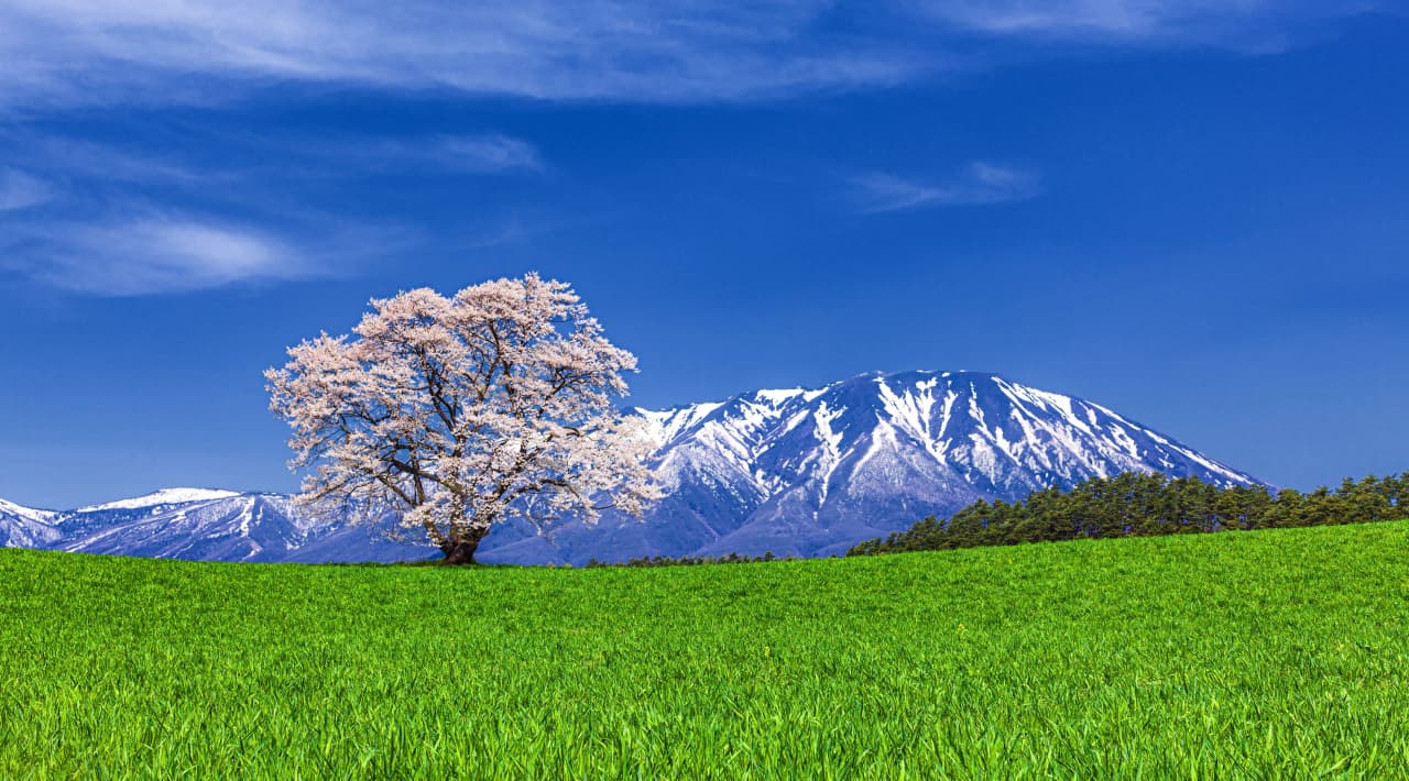 岩手県