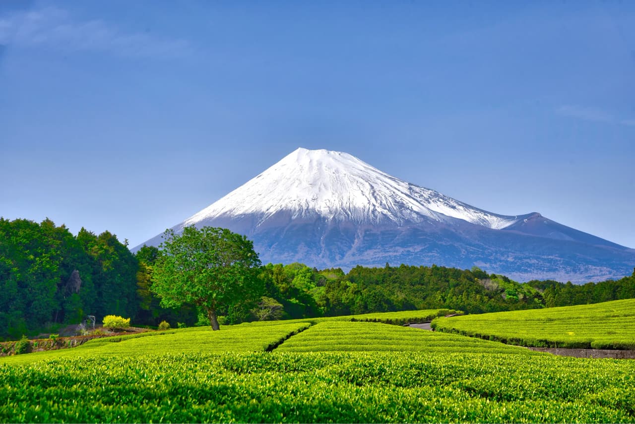 静岡県
