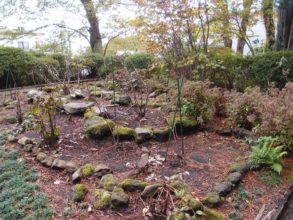 箱根強羅公園