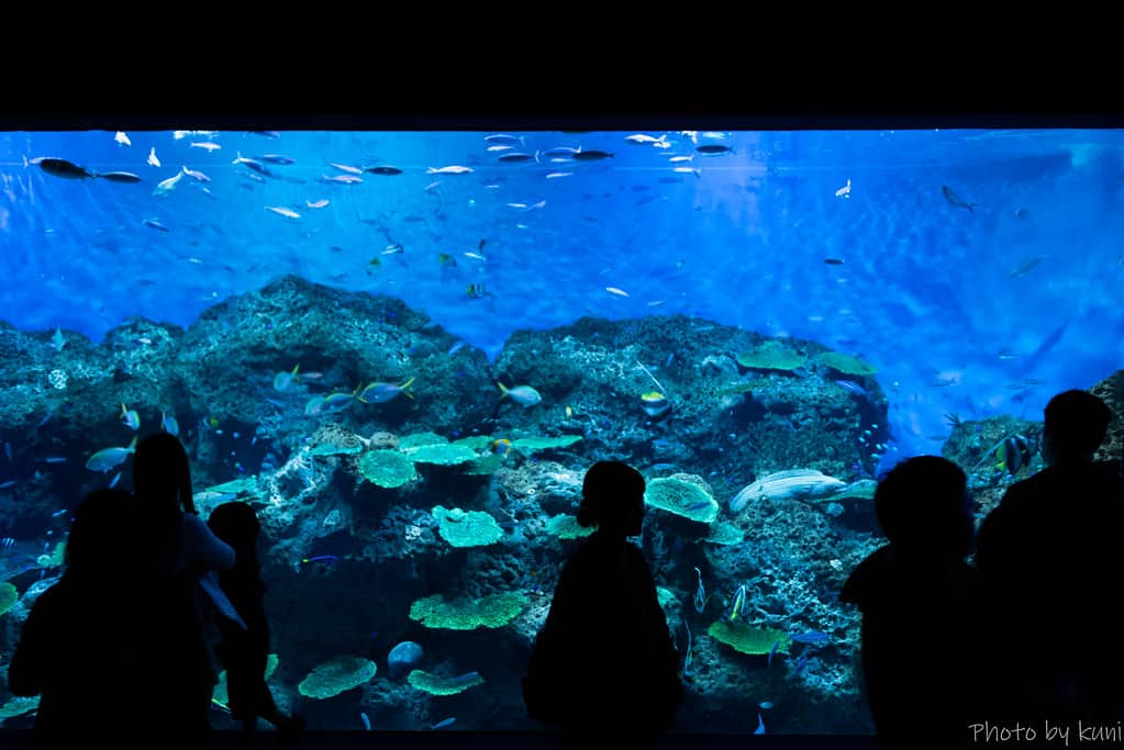 アクアワールド茨城県大洗水族館