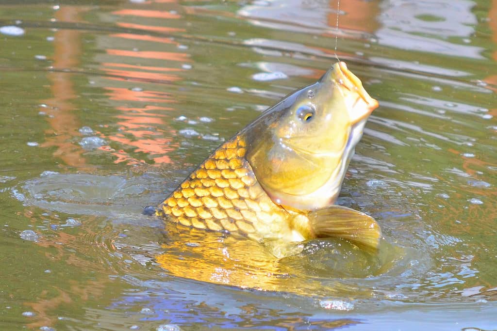 もえぎ野公園