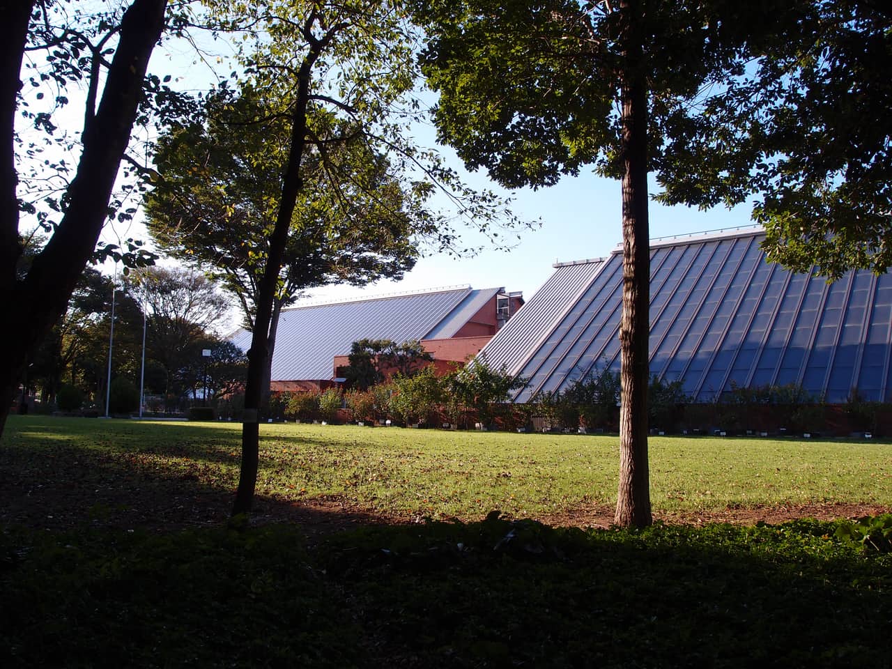 つくば市立洞峰公園