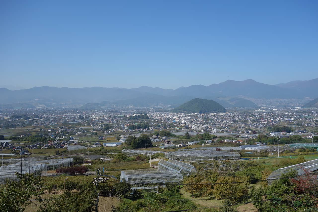 フルーツライン