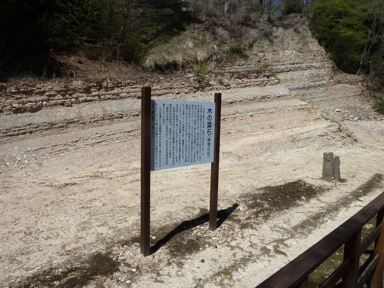 木の葉化石園