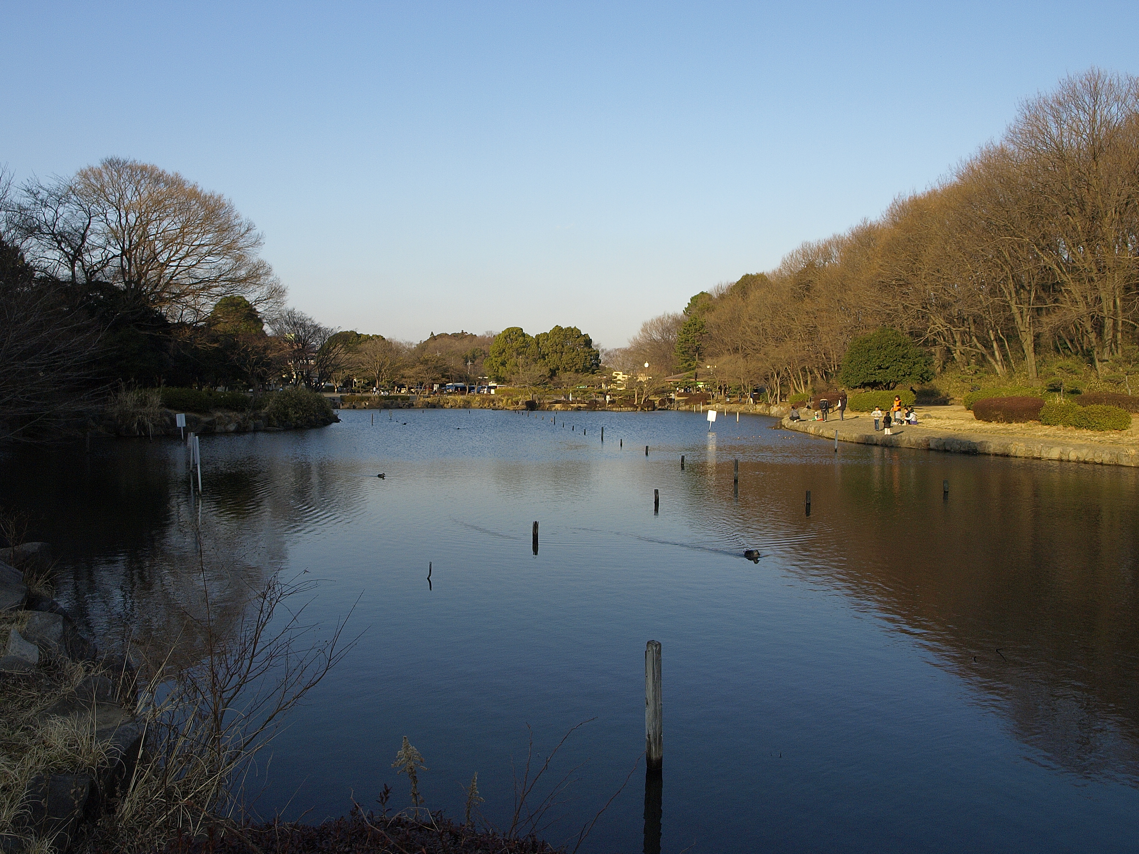 こども自然公園