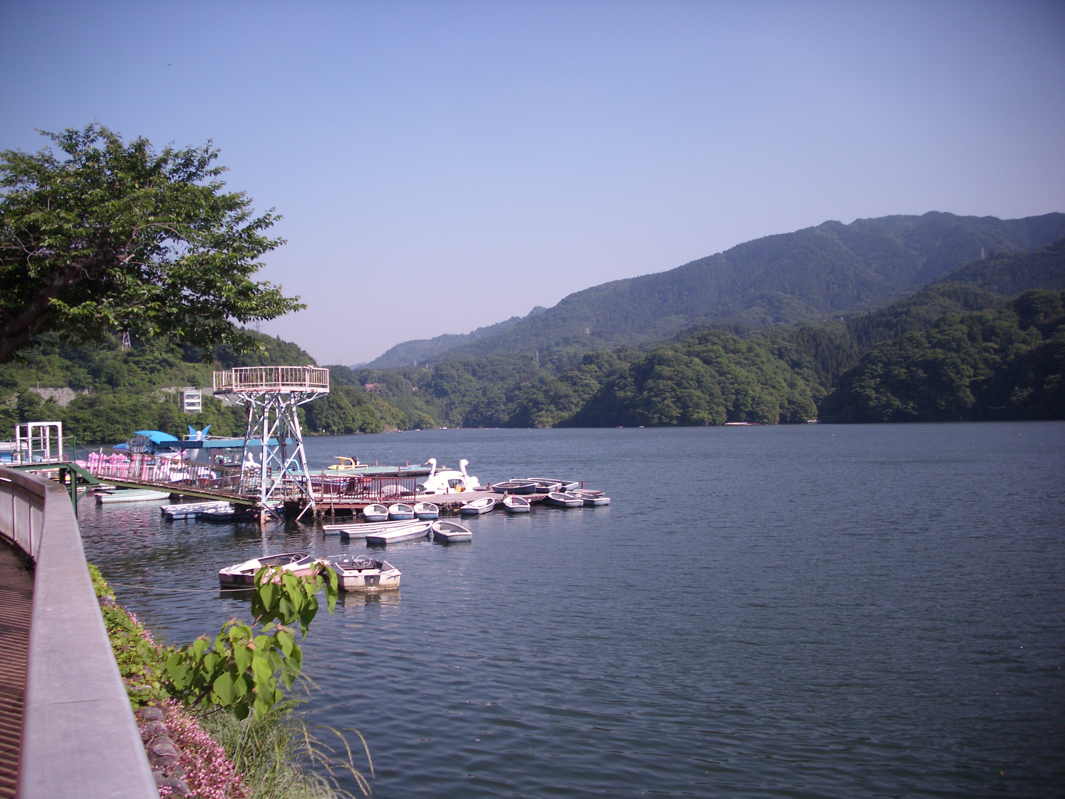 県立 相模湖公園