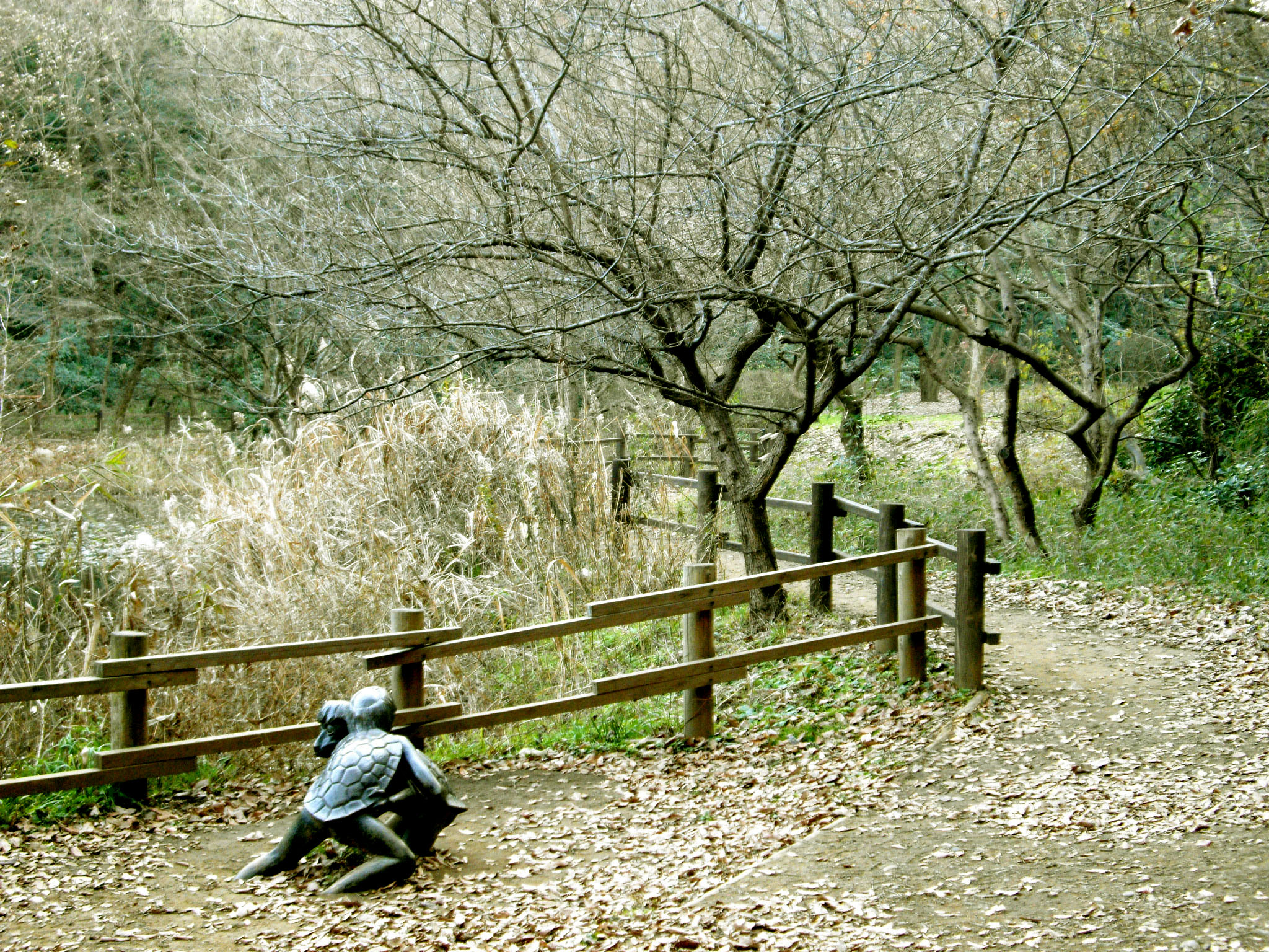 舞岡公園
