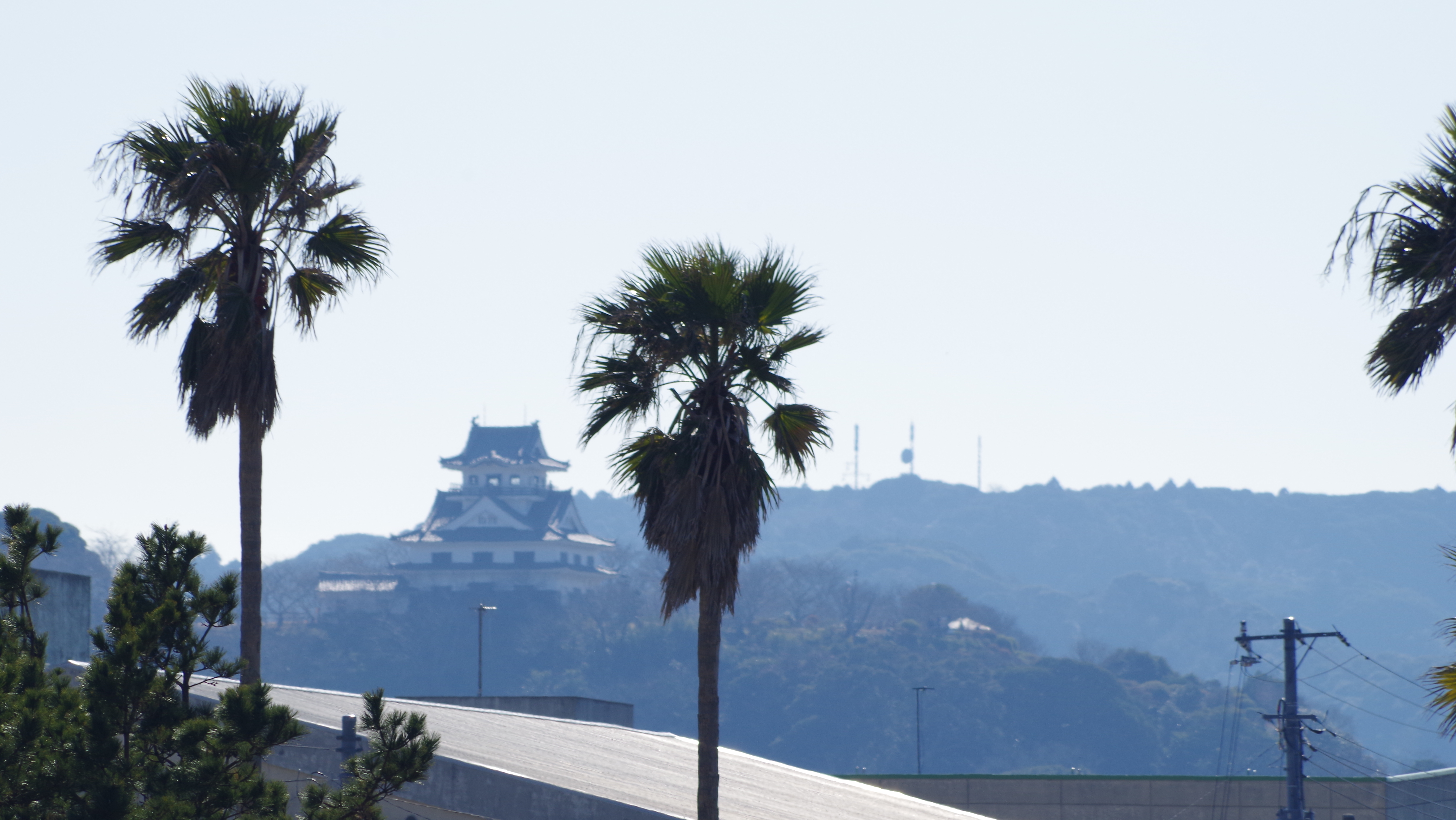 館山城(八犬伝博物館)