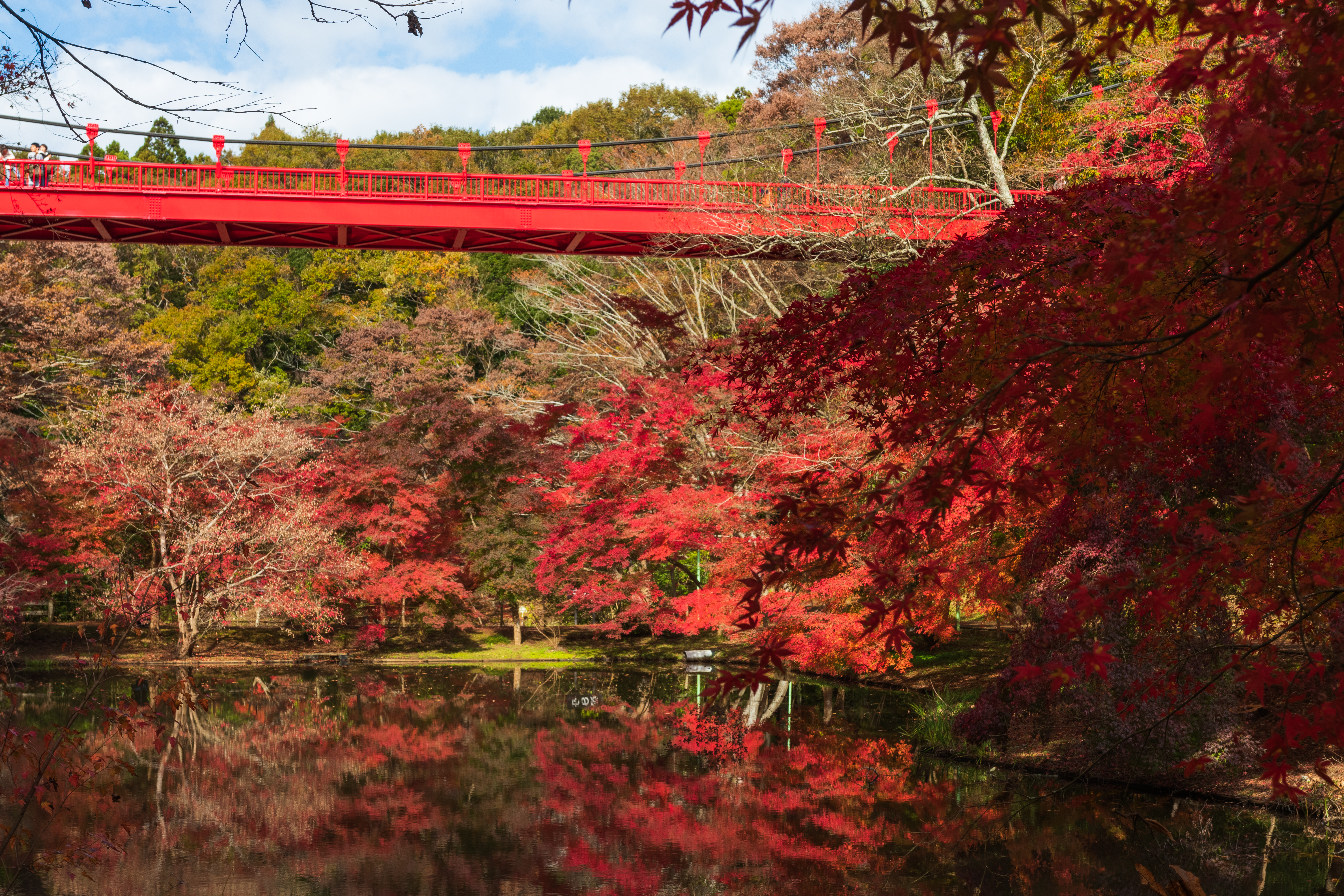 泉自然公園