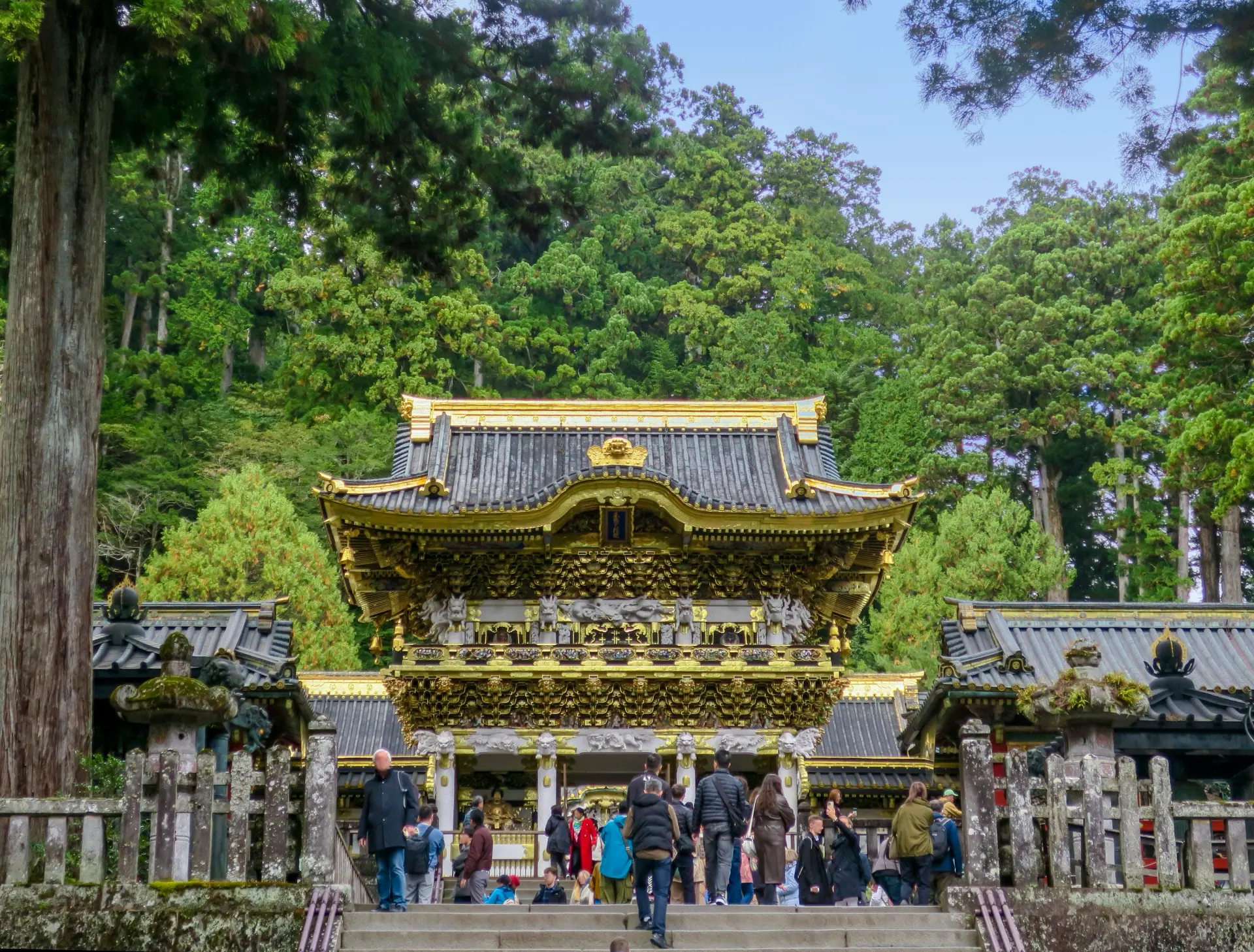 日光