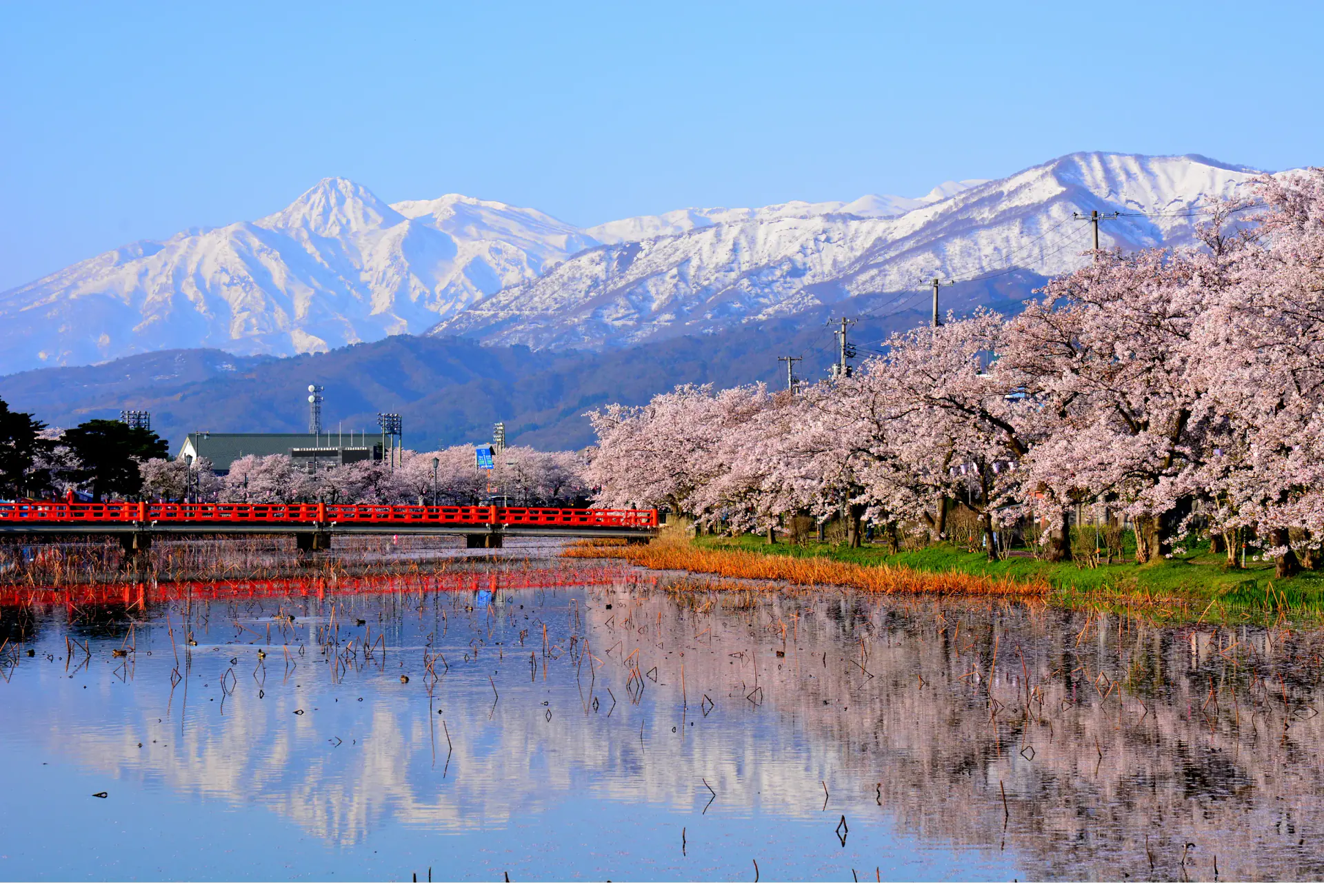新潟県